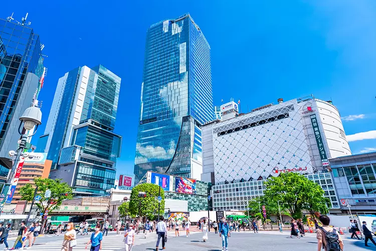 東京都渋谷区