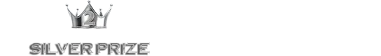 2位 SILVER PRIZE 大泉学園(西武池袋線)